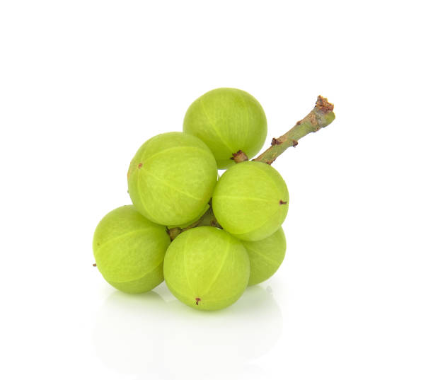 Amla